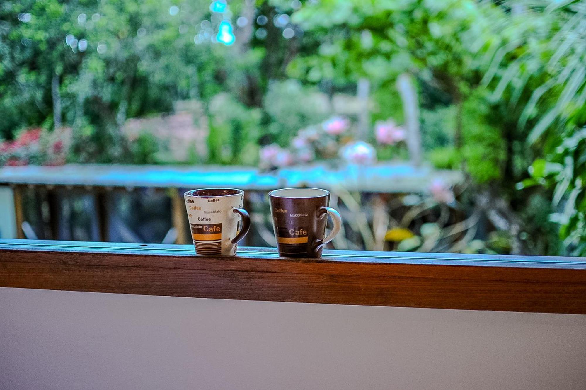 Casas Natureza Brasil ポルトセグロ エクステリア 写真